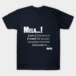 What does it mean? T-Shirt